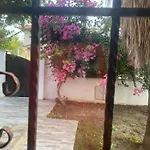 Private Pool At Dalyan Ortaca (Mugla)