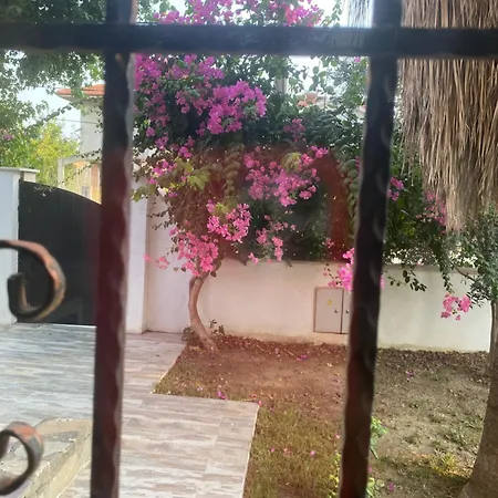 Private Pool At Dalyan Ortaca (Mugla)